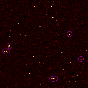 2016_meerkat_fli_03
