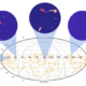 The first data release from the MeerKAT Absorption Line Survey (MALS)