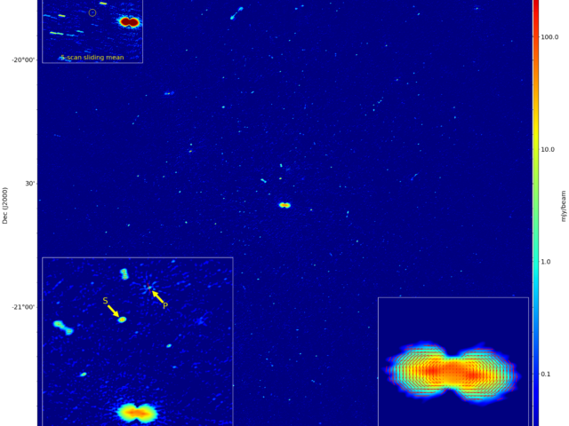 The RATT PARROT: serendipitous discovery of a peculiarly scintillating pulsar in MeerKAT imaging observations of the Great Saturn – Jupiter Conjunction of 2020. I. Dynamic imaging and data analysis