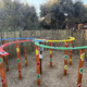 Exciting TART installation and launch takes place at the 13th Science Unlimited Expo in Hammanskraal