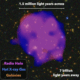 MEERKAT DISCOVERS UNUSUAL RADIO GLOW IN A DISTANT SWARM OF GALAXIES